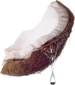 Maybelline Total Temptation Waterproof Mascara - 001 Zwart 17 Maybelline Total Temptation Waterproof Mascara - 001 Zwart -Oogmake Up Winkel 1051x1200