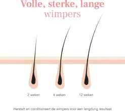 Lashive Wimperserum - Wimper Groeiserum - 3 Ml - Wenkbrauw Serum - Lash Lift Kit - Lashserum -Oogmake Up Winkel 1200x1060