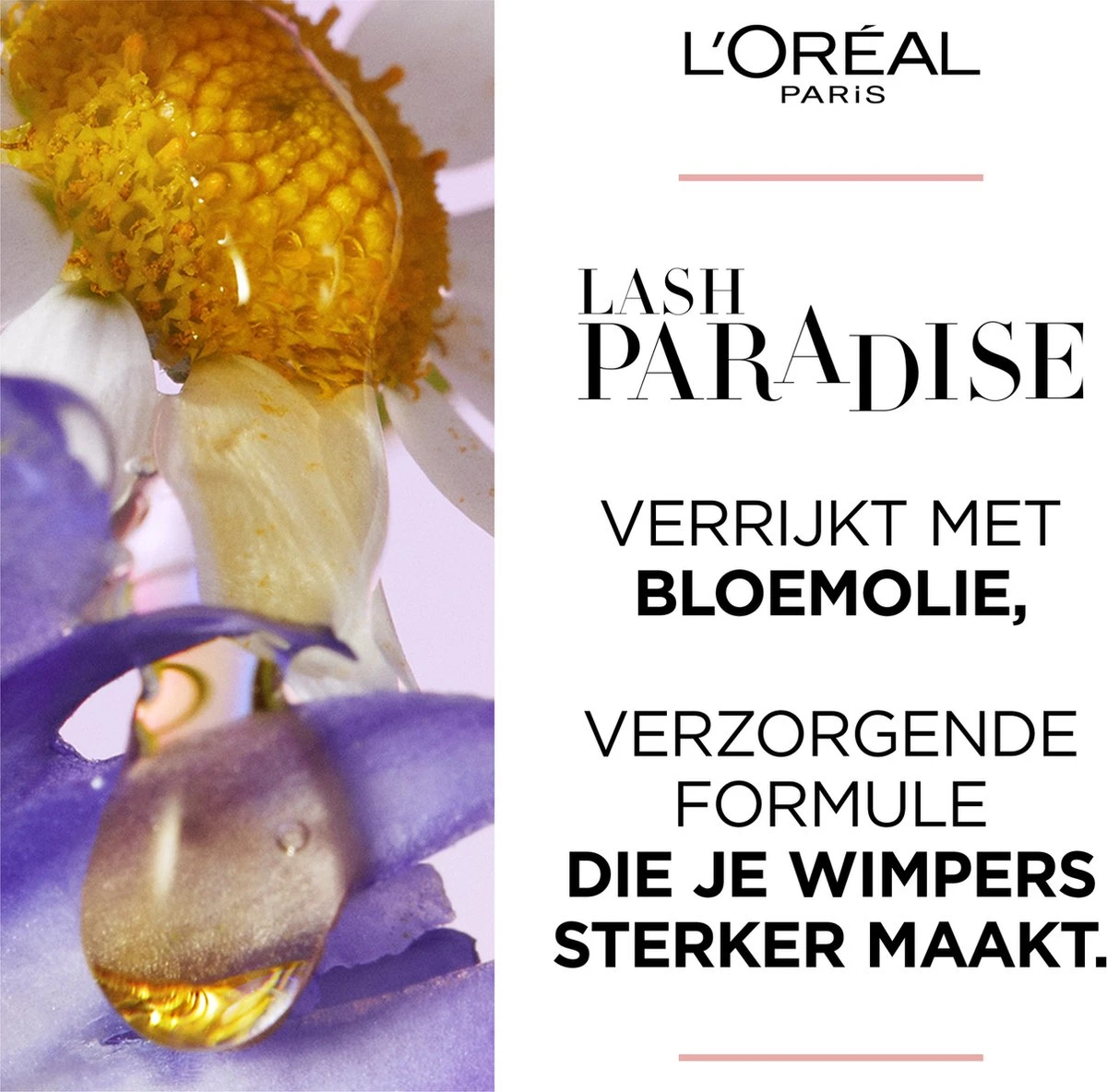 L’Oréal Paris - Lash Paradise Mascara - 01 Black - Zwarte Volume Mascara - 6.4 Ml (Paradise Extatic) 2 L’Oréal Paris - Lash Paradise Mascara - 01 Black - Zwarte Volume Mascara - 6.4 Ml (Paradise Extatic) - Afbeelding 2