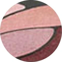 L’Oréal Paris Color Riche Les Ombres Quad - E6 Eau De Rose - Oogschaduw -Oogmake Up Winkel 1200x1199 10