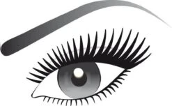 L'Oréal Paris Mega Volume Collageen 24H Mascara - Zwart -Oogmake Up Winkel 1200x738