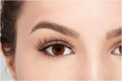 Ardell - Nepwimpers Multipack - Zwart - 5 Sets -Oogmake Up Winkel 1200x800 16