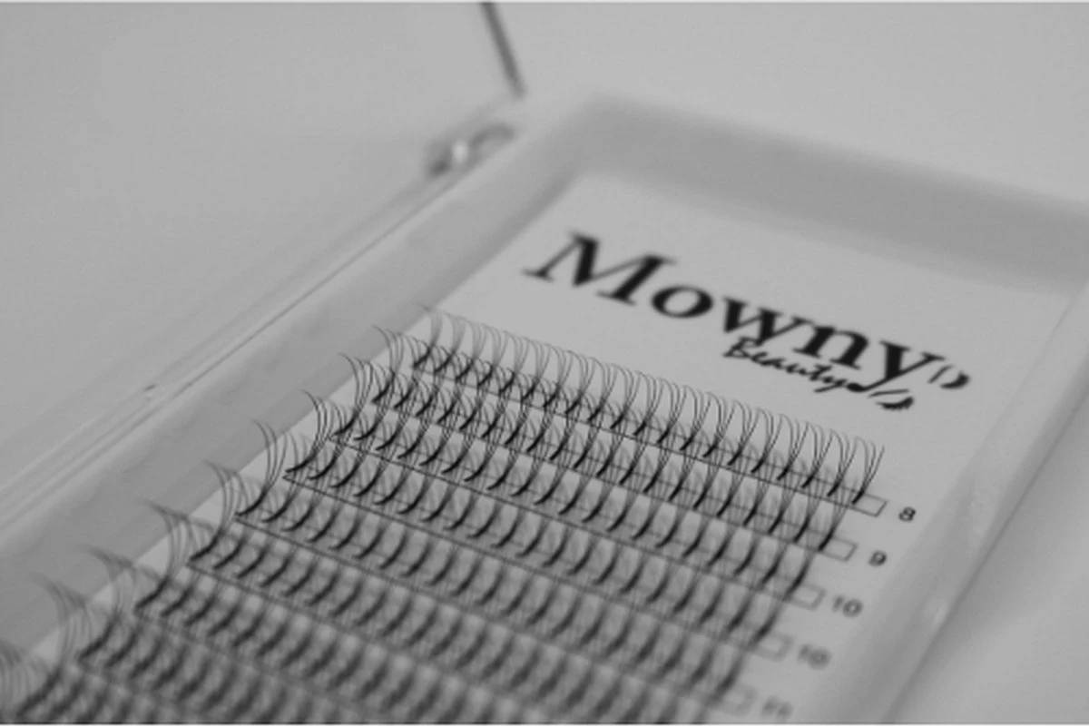 Mowny Beauty - Wimperextensions - 3D Premade Fans - Mix Tray 0,10mm D-krul - Natuurlijke Wimperextensions - Russisch Volume 2 Mowny Beauty - Wimperextensions - 3D Premade Fans - Mix Tray 0,10mm D-krul - Natuurlijke Wimperextensions - Russisch Volume - Afbeelding 2