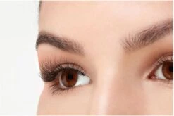 Ardell - Nepwimpers Multipack - Zwart - 5 Sets -Oogmake Up Winkel 1200x802 3