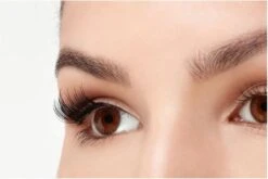 Ardell Professional Magnetic Double Strip Accents Lashes - 001 Accents - Magnetische Nepwimpers - Set Kunstwimpers - Zwart 14 Ardell Professional Magnetic Double Strip Accents Lashes - 001 Accents - Magnetische Nepwimpers - Set Kunstwimpers - Zwart -Oogmake Up Winkel 1200x803 2