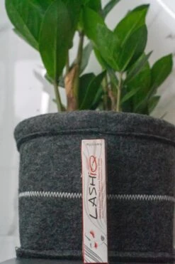 Wimperserum 5ml - Lash Lift - Eyelash - Wimperlifting - LashIQ- Wimper Serum- Wimperserum Groei -Oogmake Up Winkel 799x1200 3