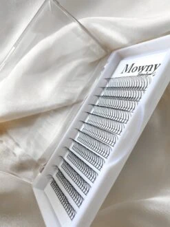 Mowny Beauty - Wimperextensions - 3D Premade Fans - 11mm 0,10mm D-krul - Natuurlijke Wimperextensions - Russisch Volume -Oogmake Up Winkel 899x1200 13